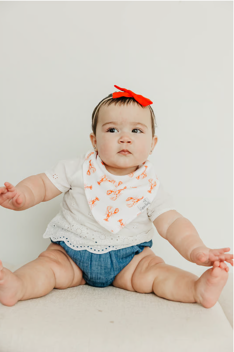 Fischer Bandana Bib Set