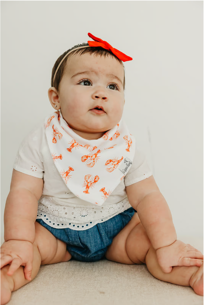 Fischer Bandana Bib Set