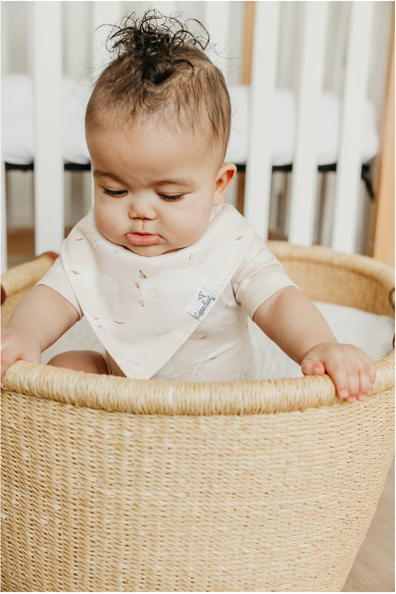 Fischer Bandana Bib Set