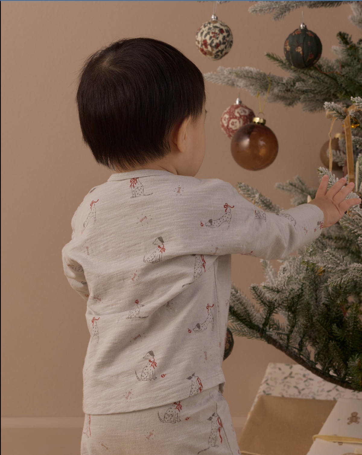 Dalmatian L/S Pant Set