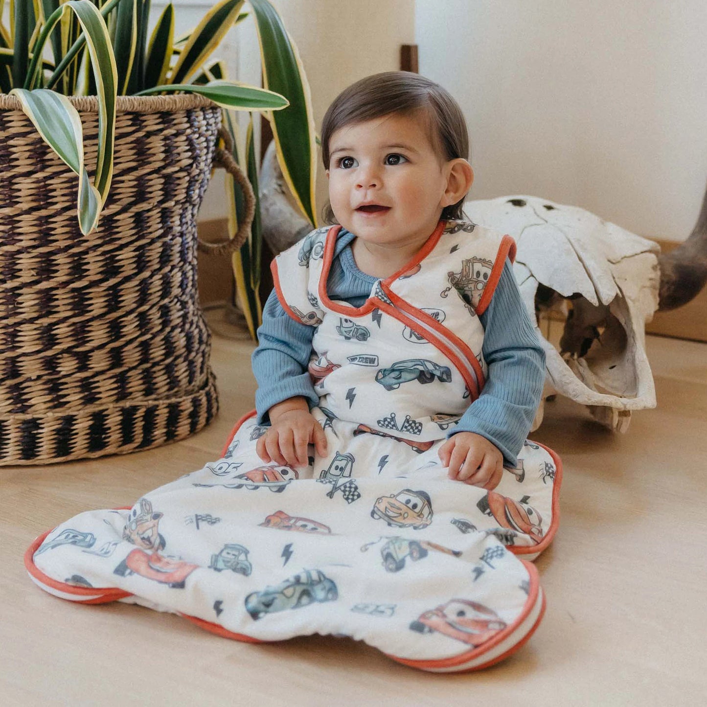 Pixar Cars Sleep Bag