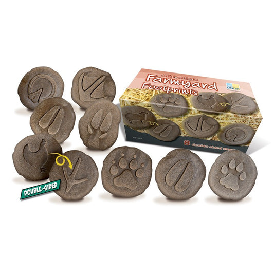 Let's Investigate Farmyard Footprints