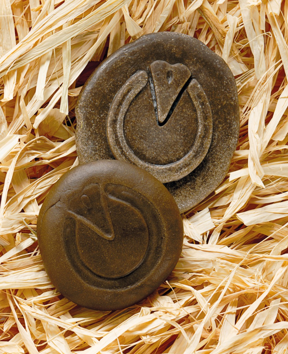 Let's Investigate Farmyard Footprints