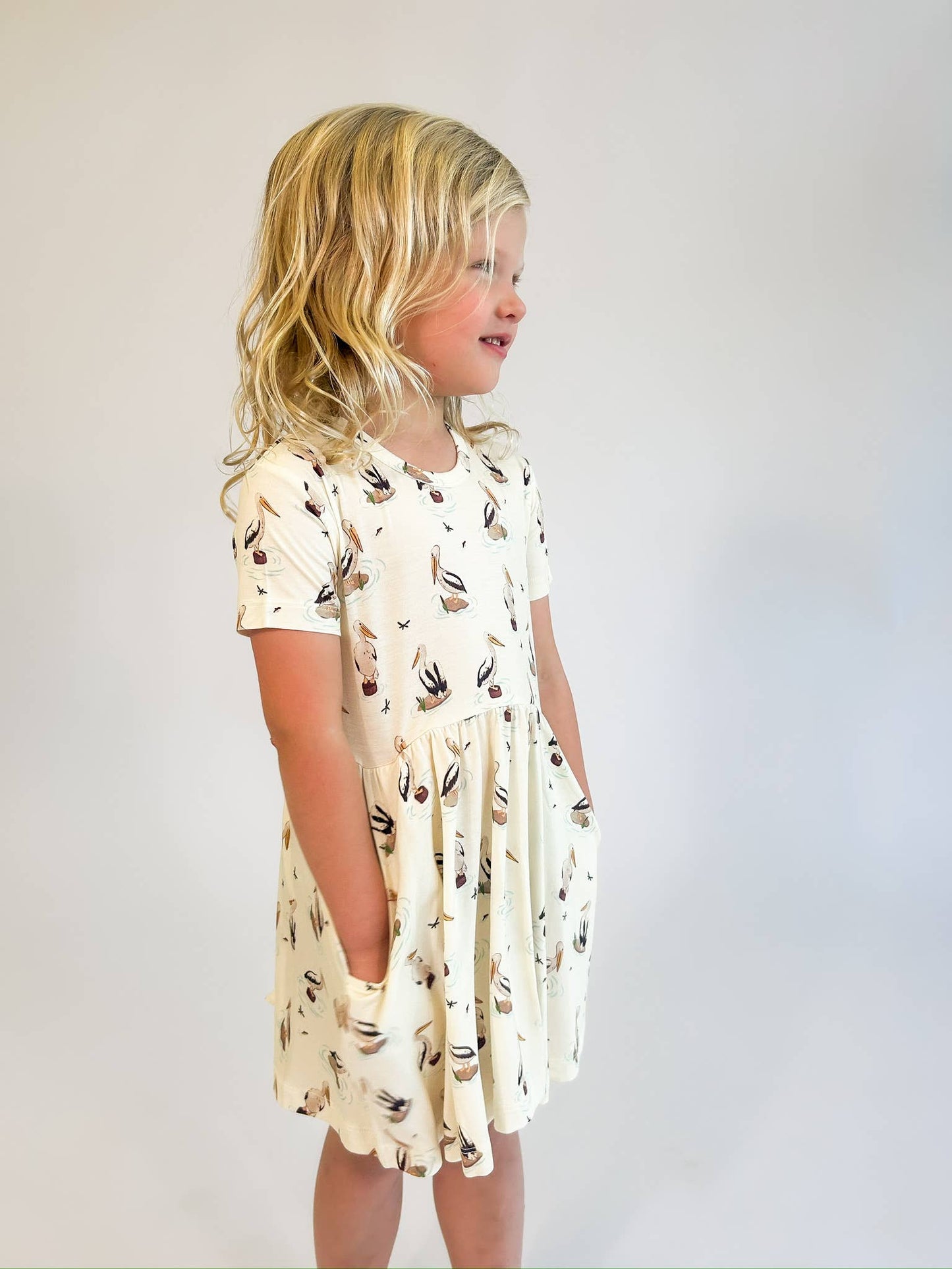 Coastal Pelican Dress