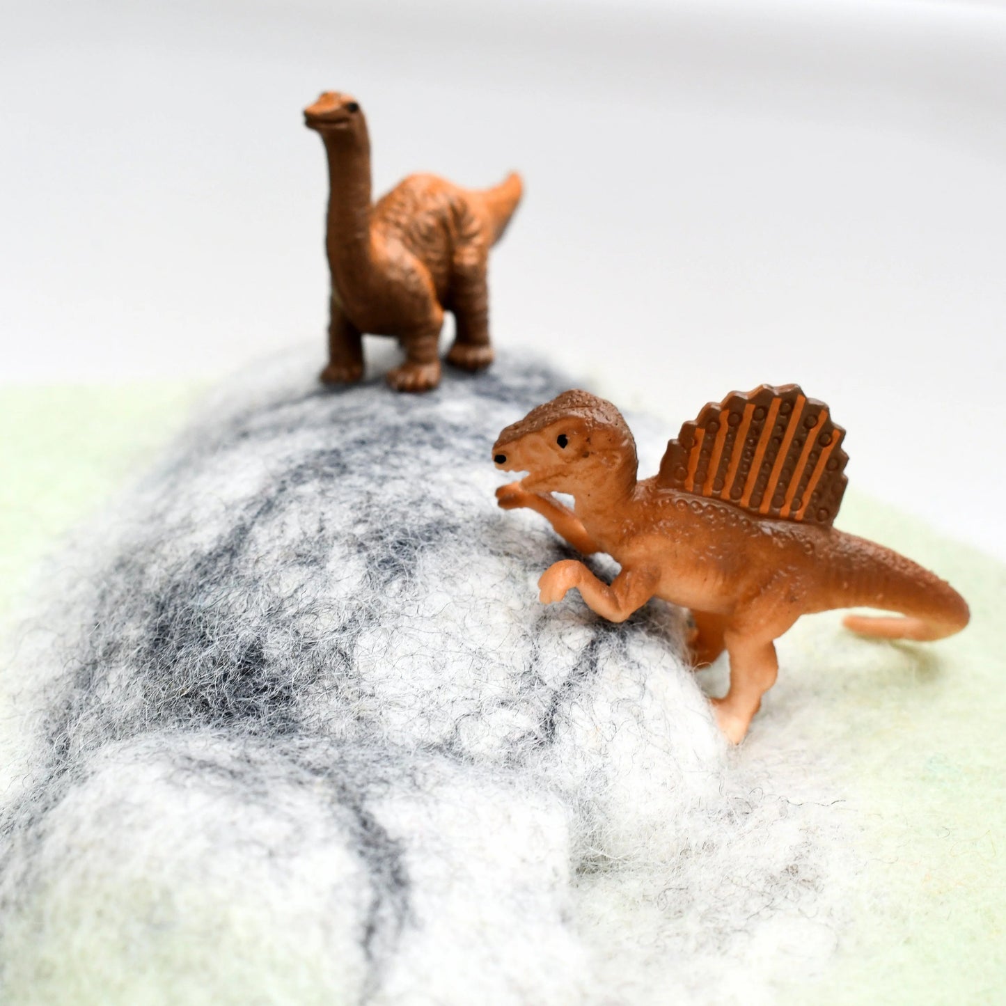 Dinosaur Ice Age Play Mat