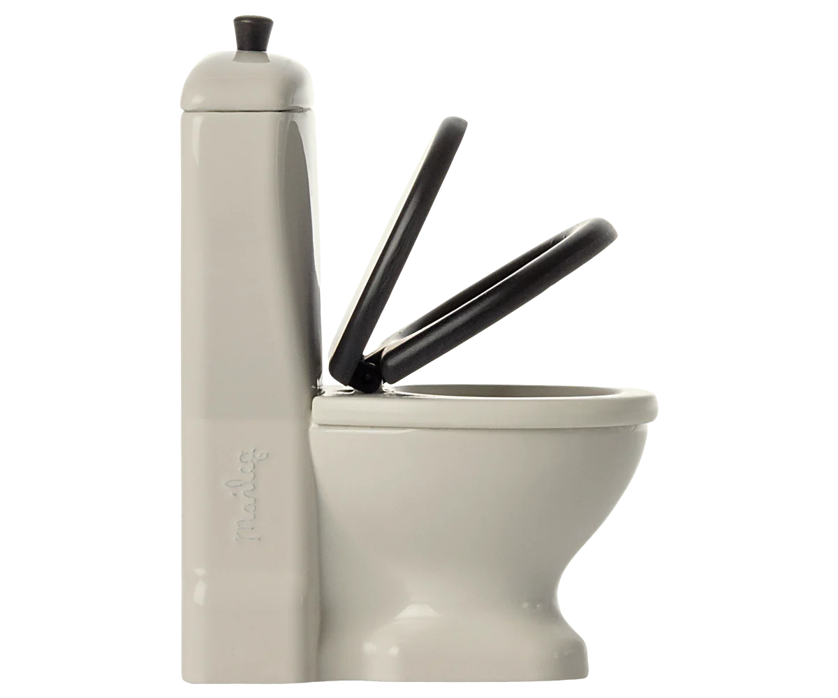 Toilet, Mice