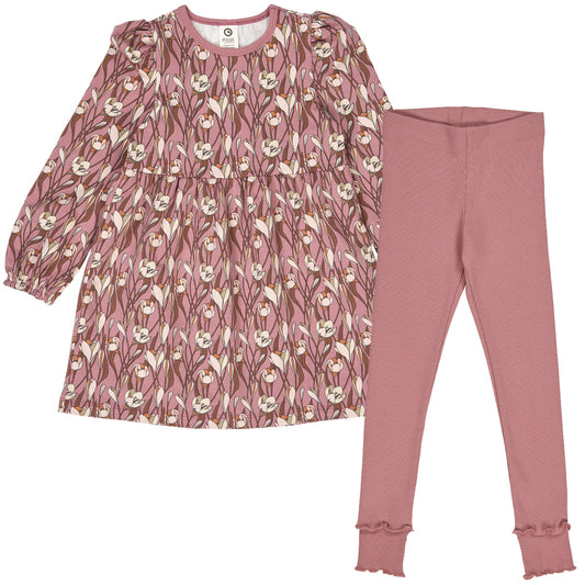 Autumn 2-Pc Dress & Legging Set