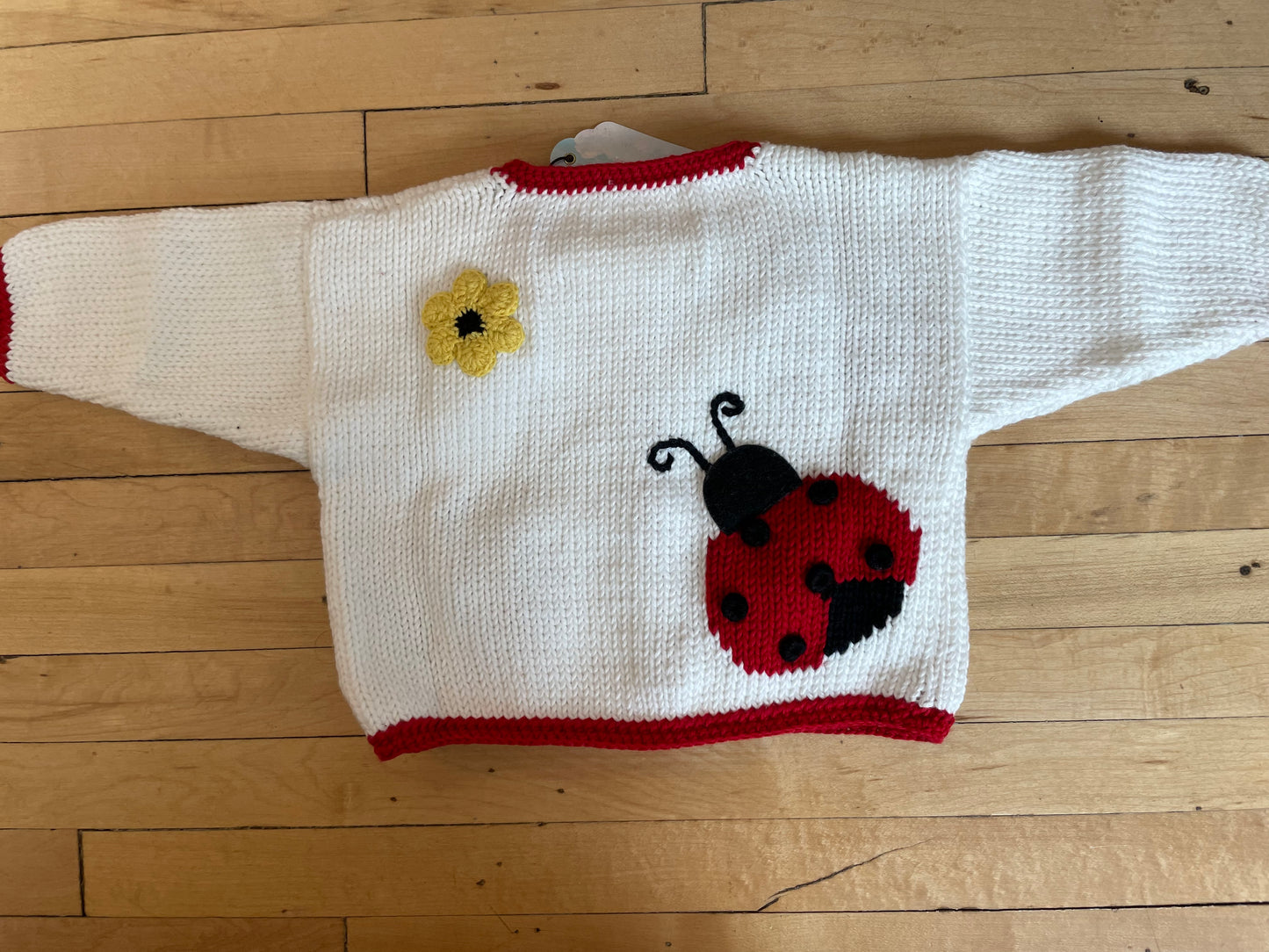 Lady Bugs and Daisies Knit Sweater