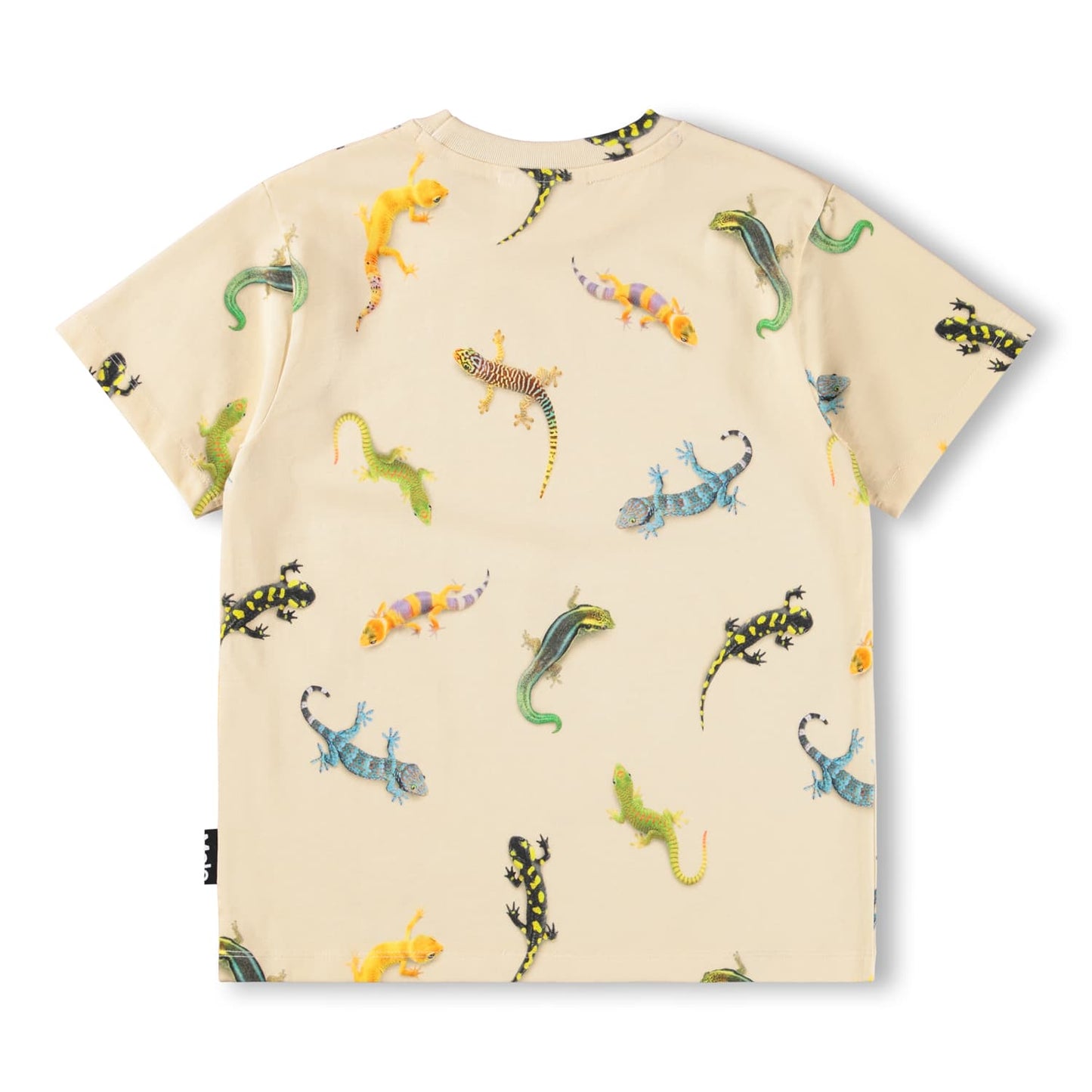 Riley Tee / Geckos Light