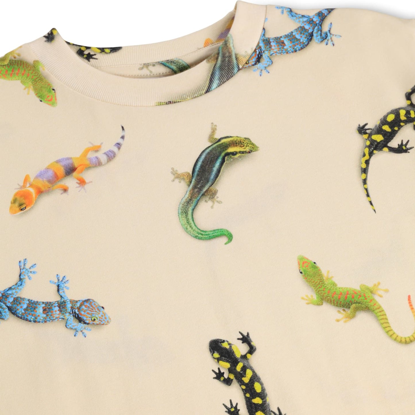 Riley Tee / Geckos Light