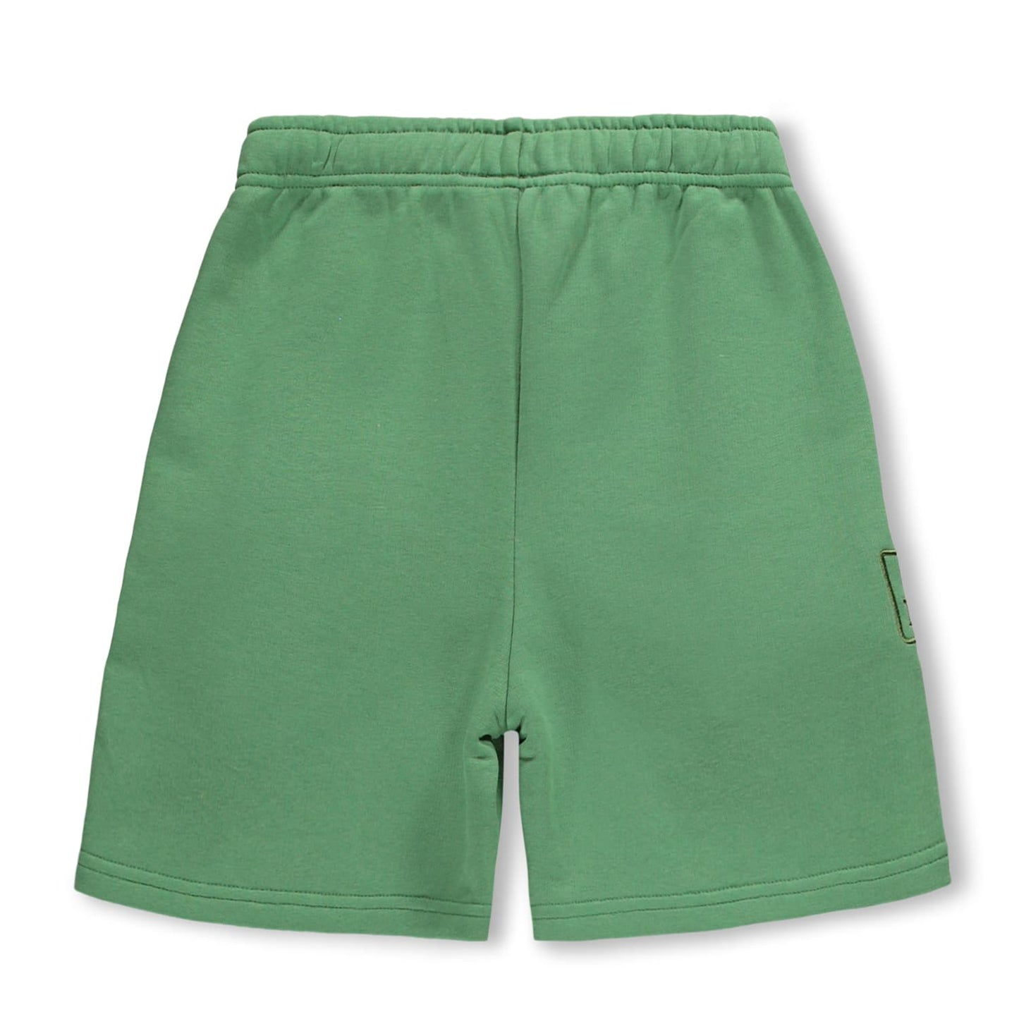 Amil Groovy Green Shorts