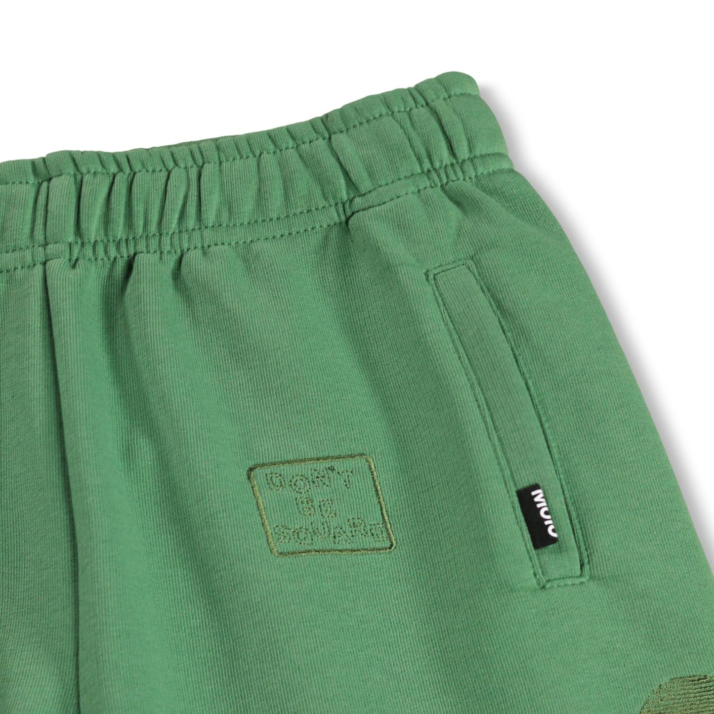 Amil Groovy Green Shorts
