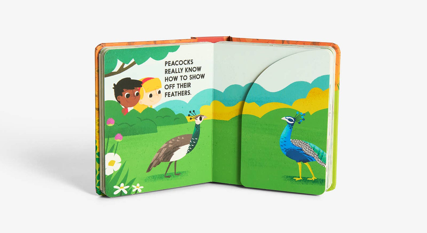 Birdblock (An Abrams Block Book)