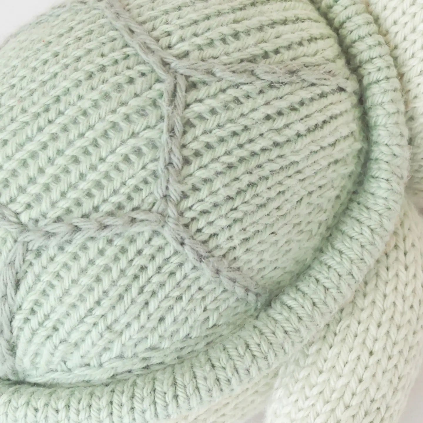 Baby Turtle (Kelp Green)