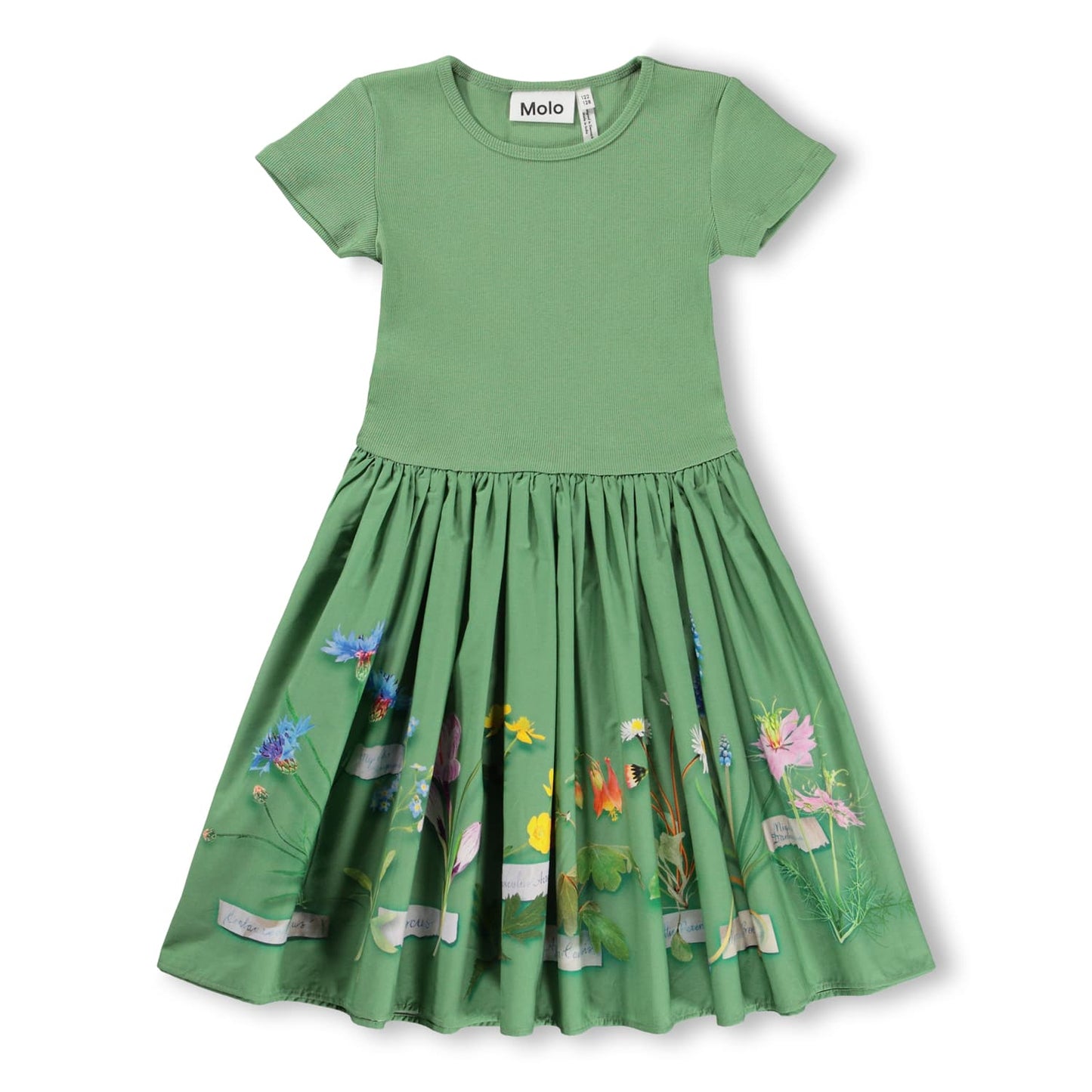 Cissa Dress / Flora Collector