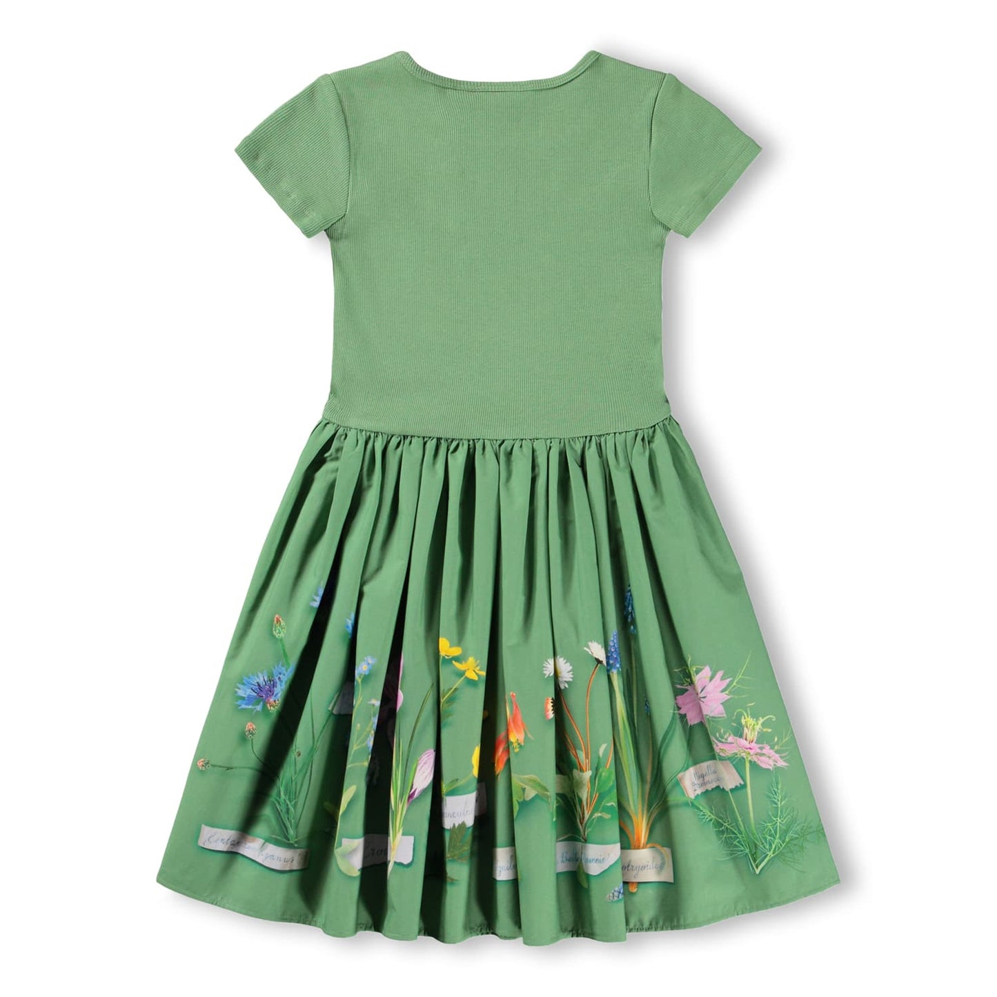 Cissa Dress / Flora Collector