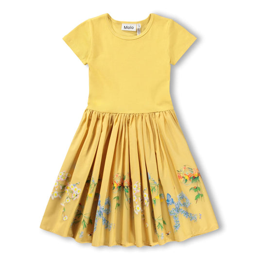 Cissa Dress / Dressy Bows