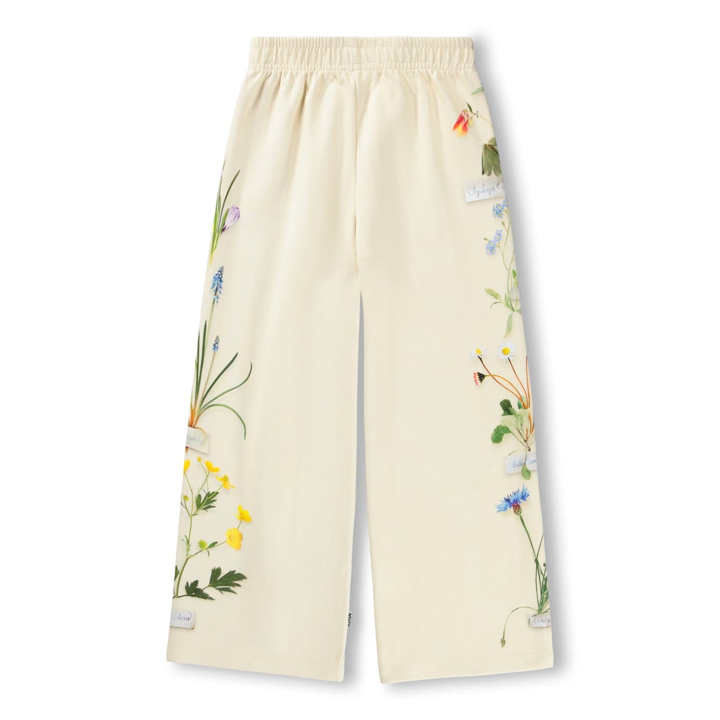 Aurita Pants / Flora Collector