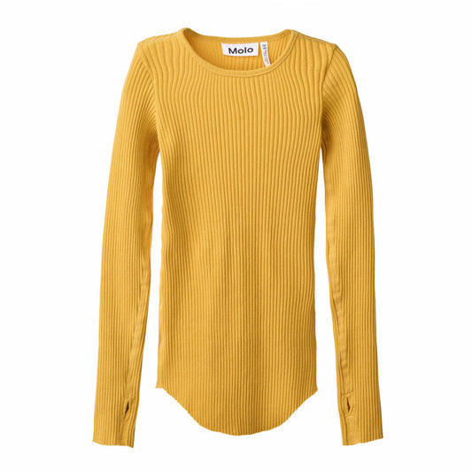 Rochelle Energy Top