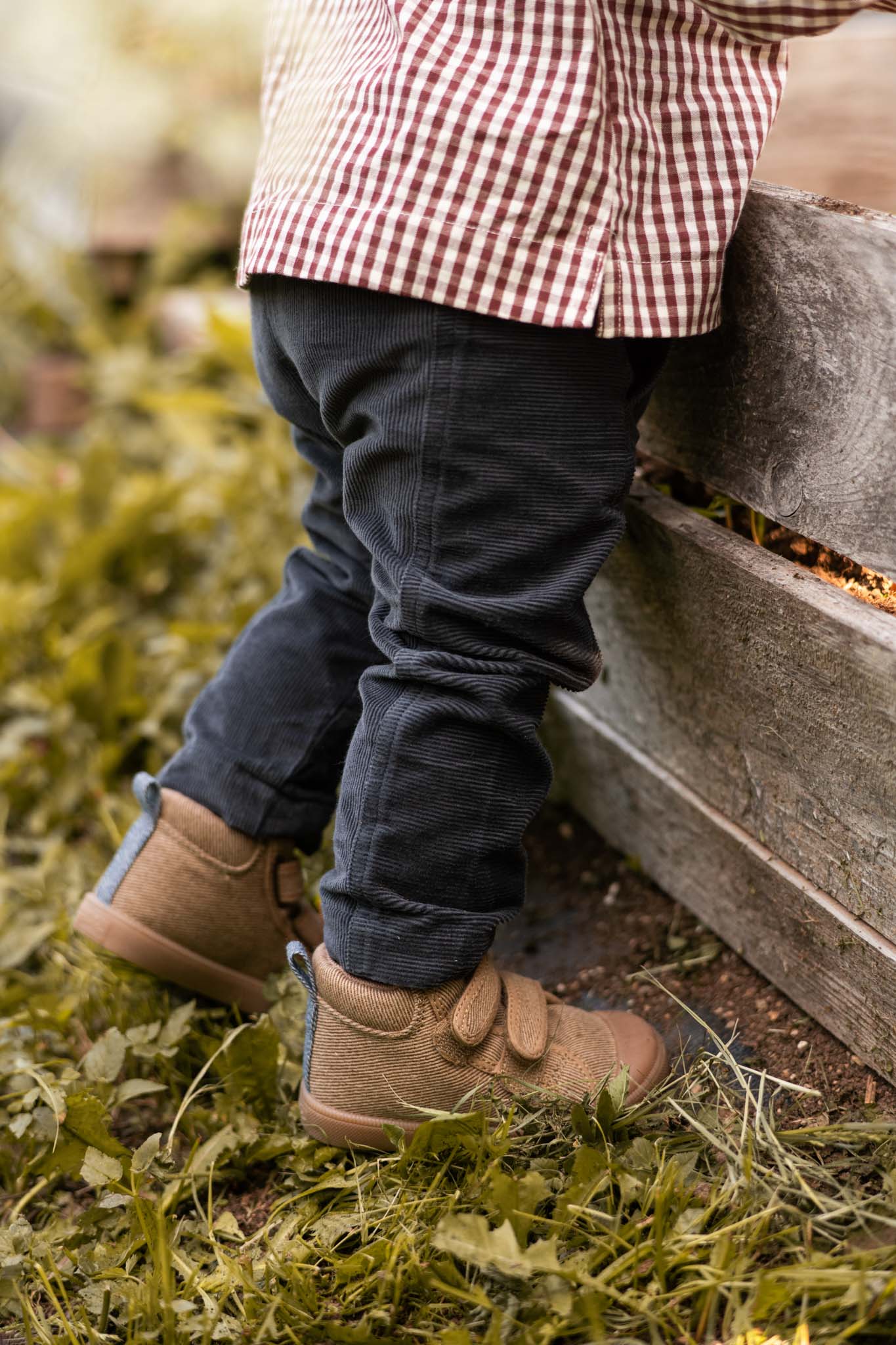 Pehr Cord Pants In Cozy Fall Shades