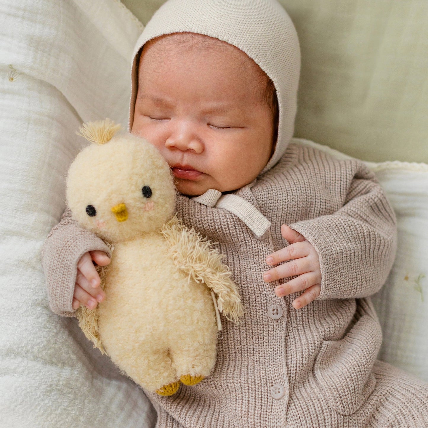 Baby Boucle Chick (Buttercup)