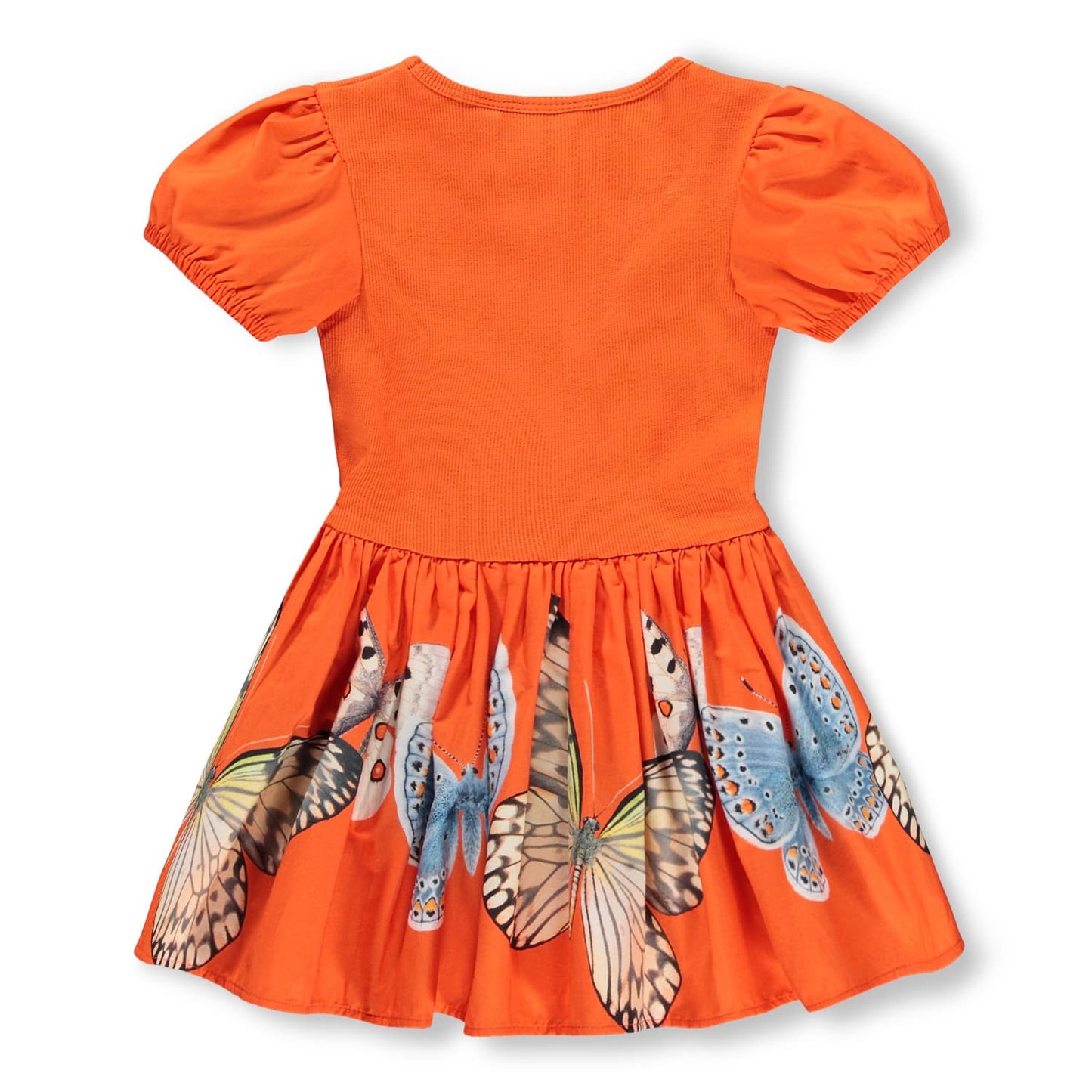 Caitlin Dress / Fluttering