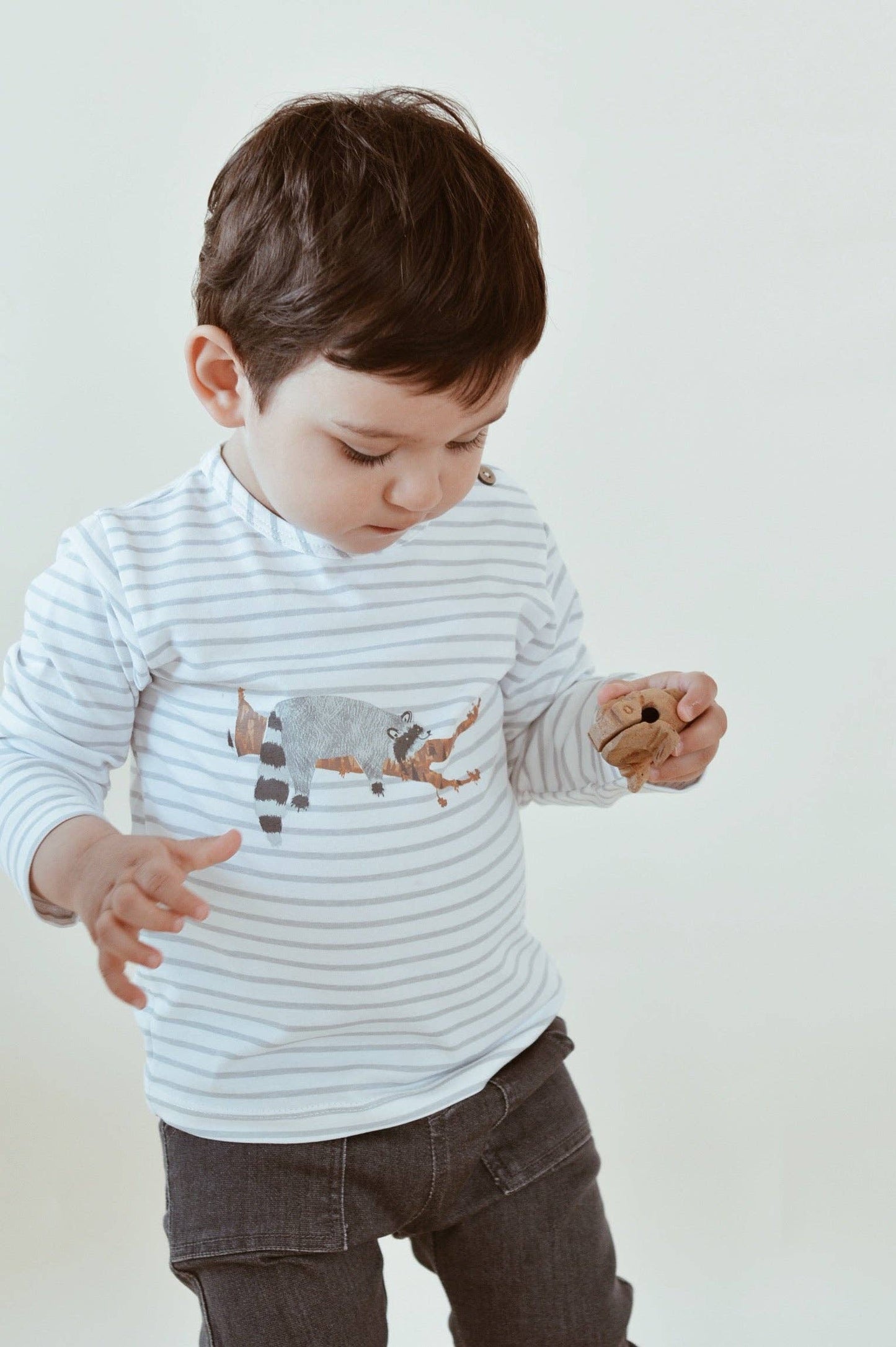 Baby /Kids Raccoon Striped LS Tee