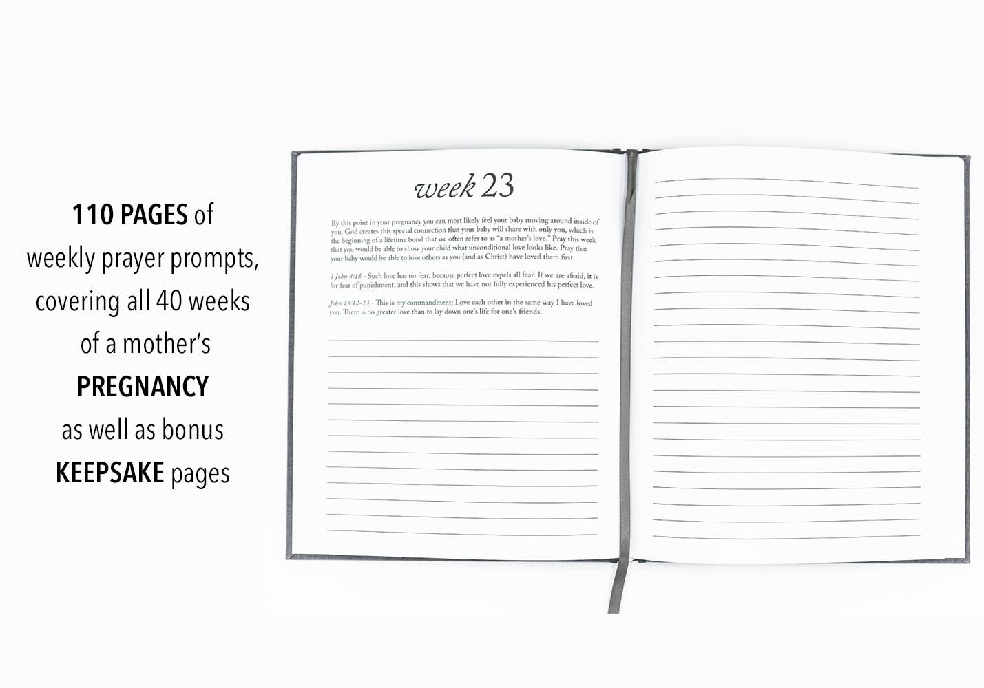 Dear Baby: A Pregnancy Journal