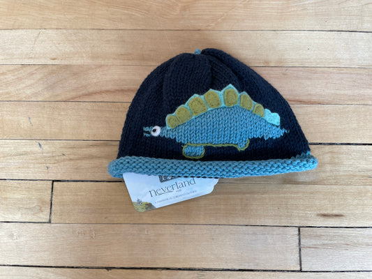 Land of the Lost Knit Hat
