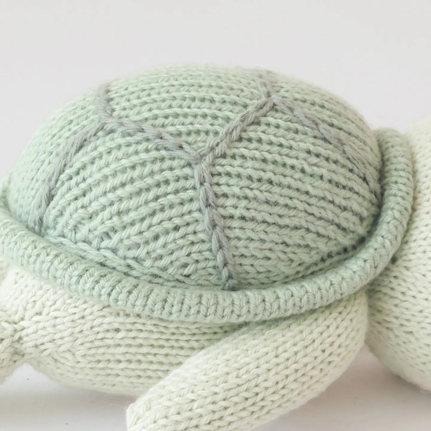 Baby Turtle (Kelp Green)