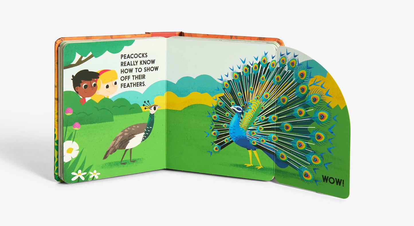 Birdblock (An Abrams Block Book)