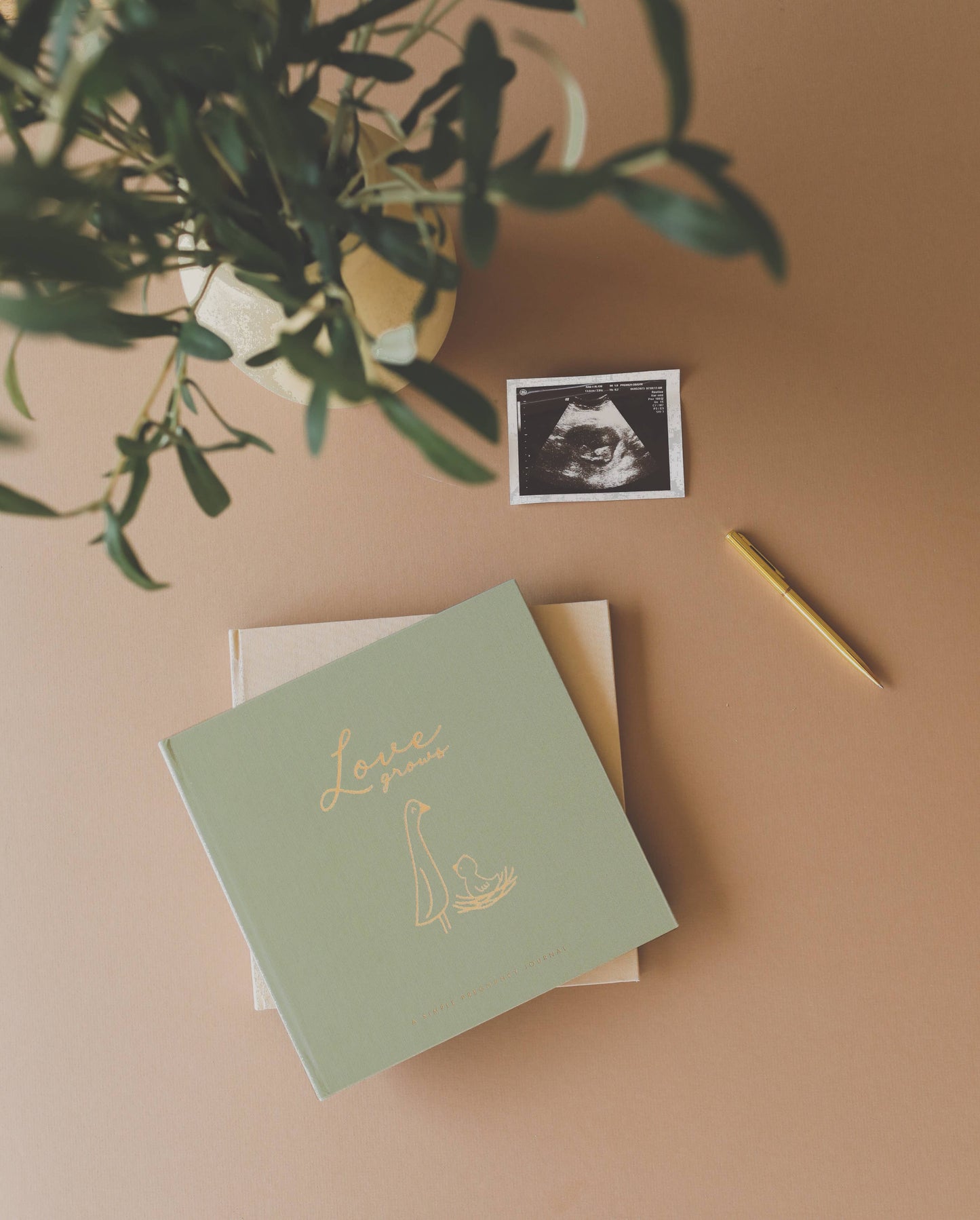 Pregnancy Journal - Beautiful Mother's Day gift!