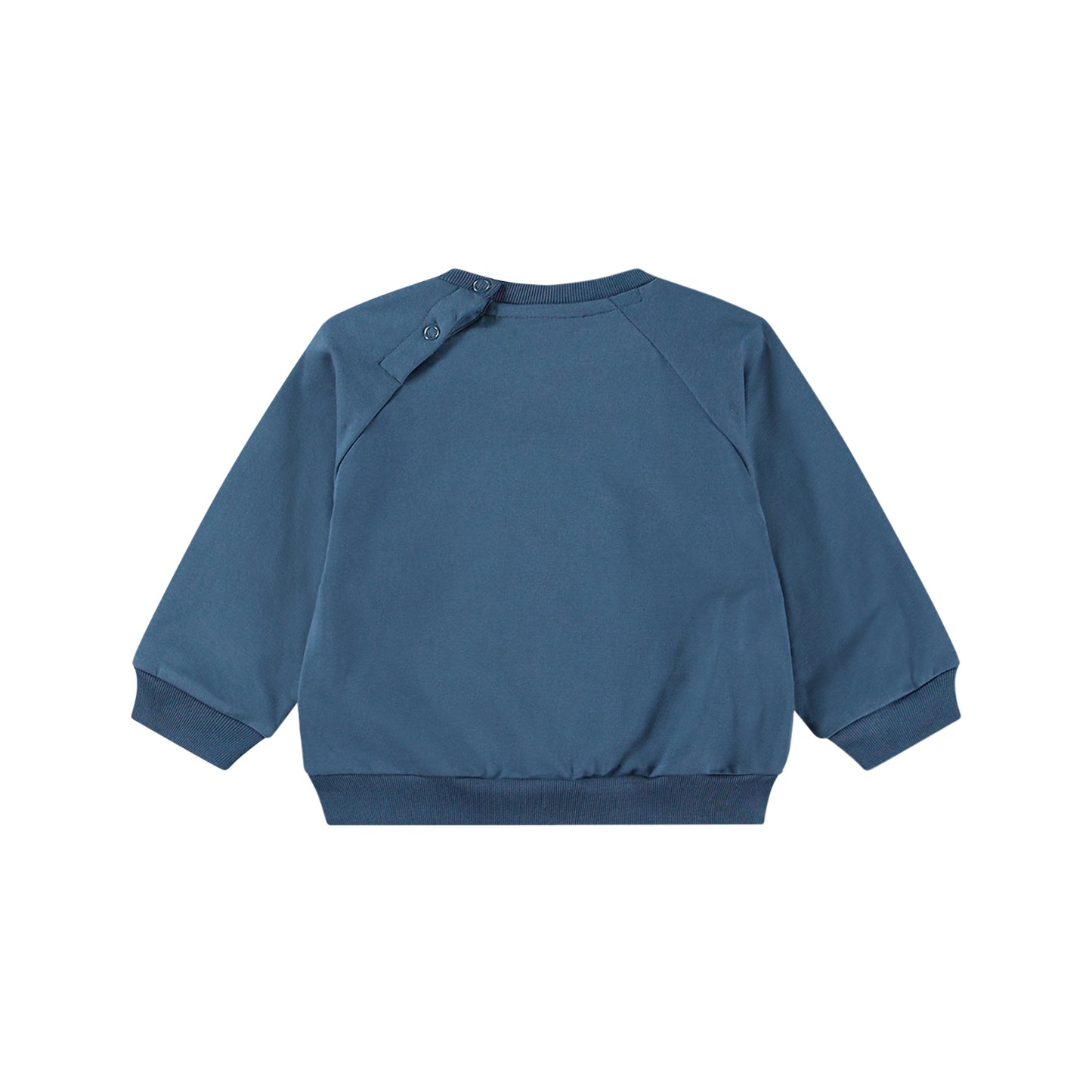 Disc Calm Fjord Sweatshirt