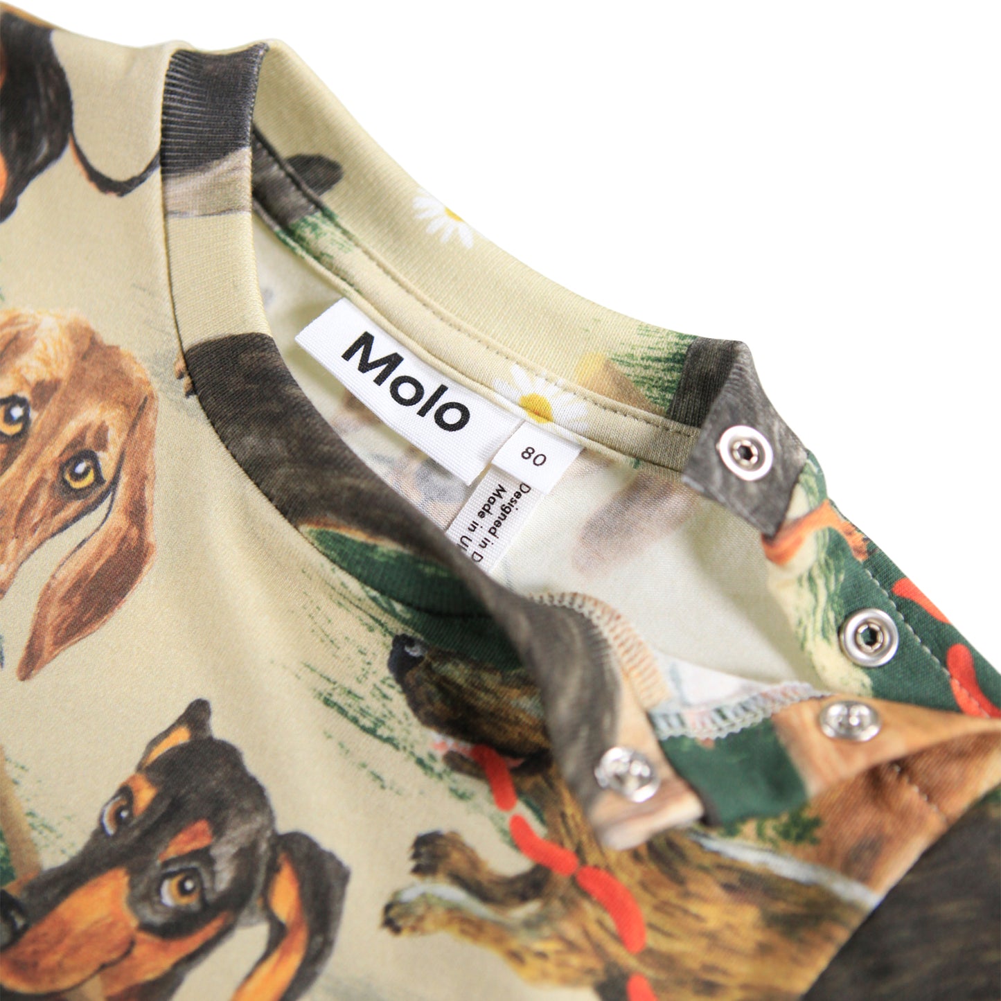 Eloy Painted Dogs Tee