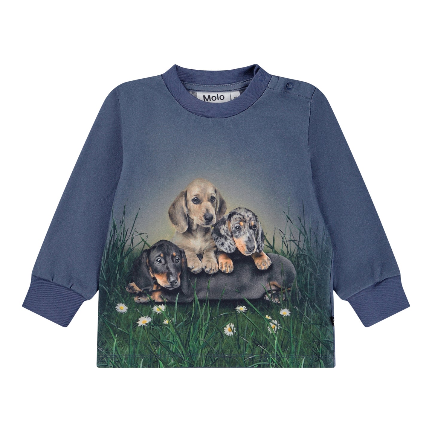 Eloy Dachshund Pups Tee