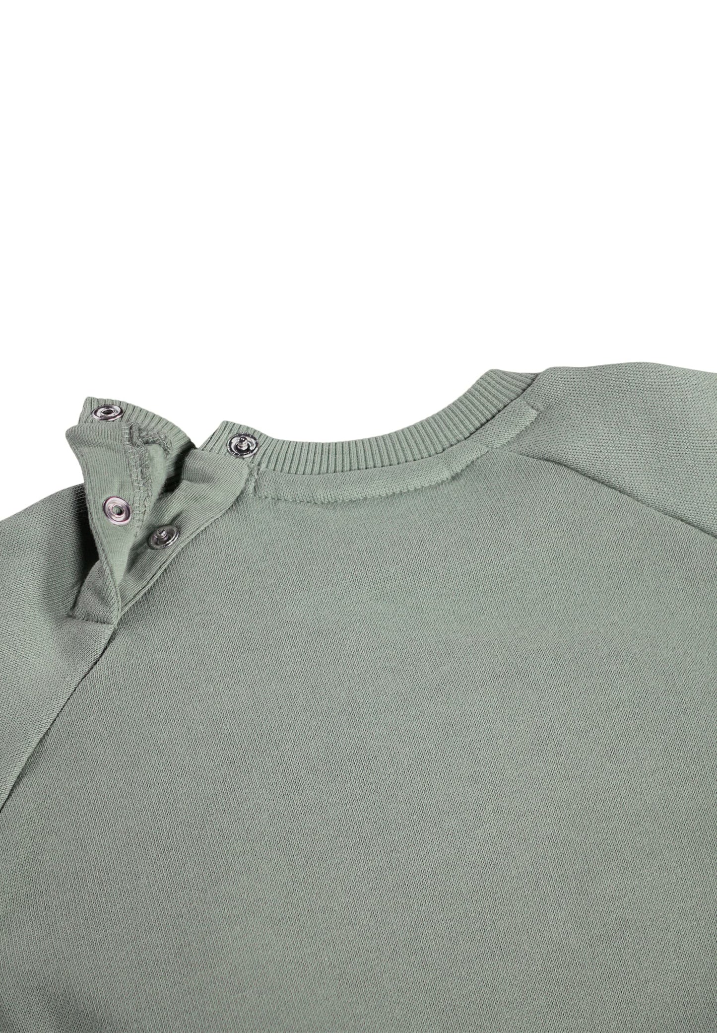 Disc Cladonia Sweatshirt