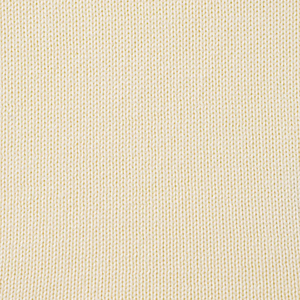 Cotton Rollneck Sweater In Various Colors