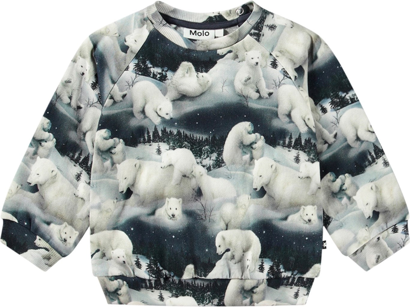 Disc Polar Bears Sweatshirt