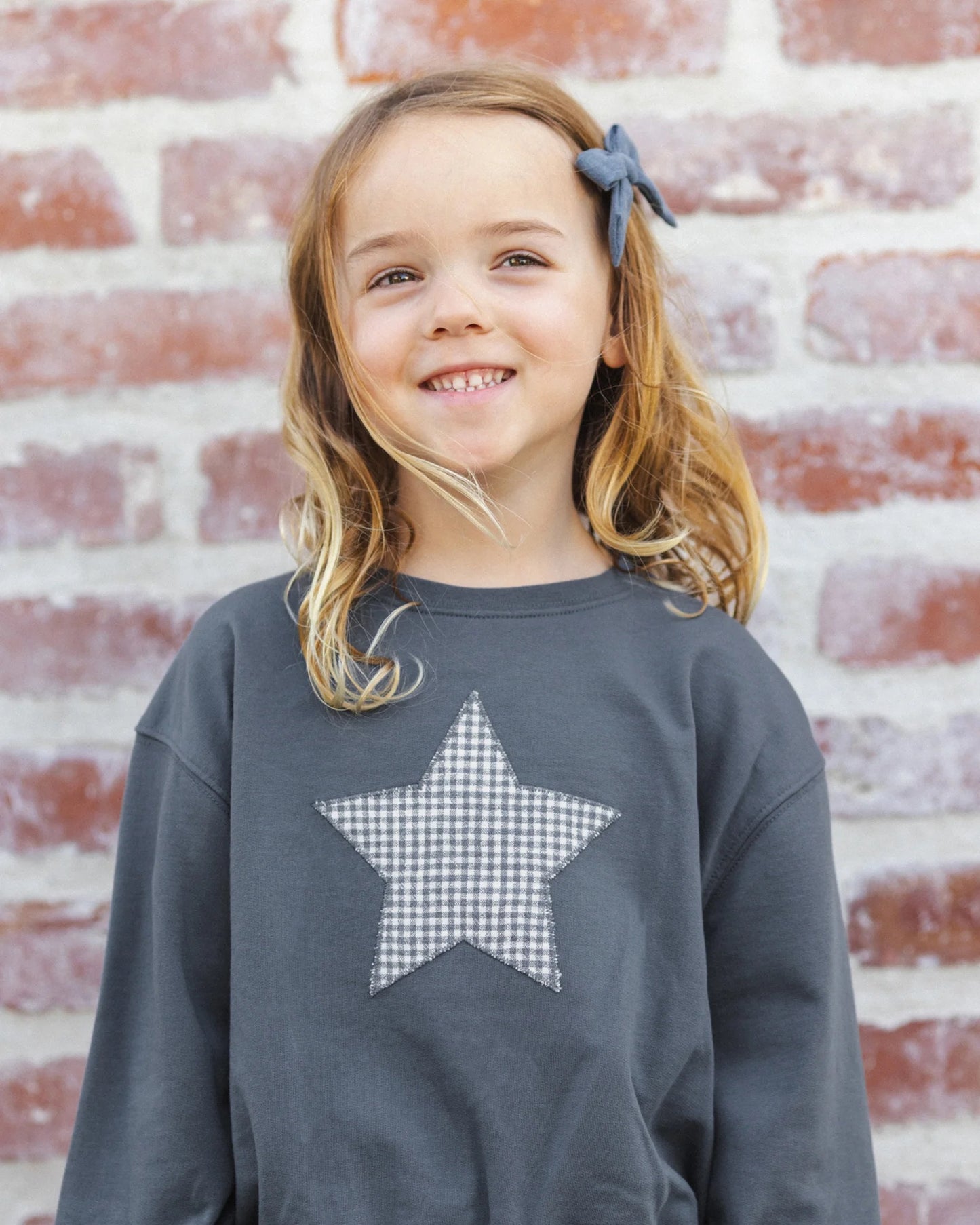 Navy Pier Sweatshirt