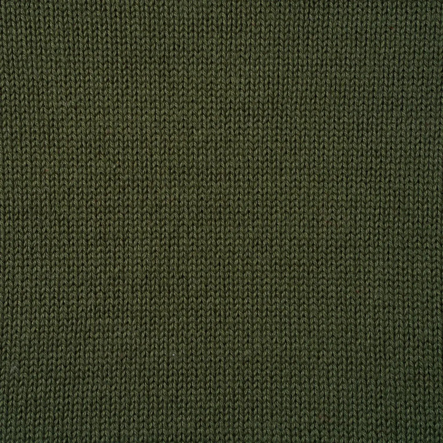 Cotton Rollneck Sweater In Various Colors