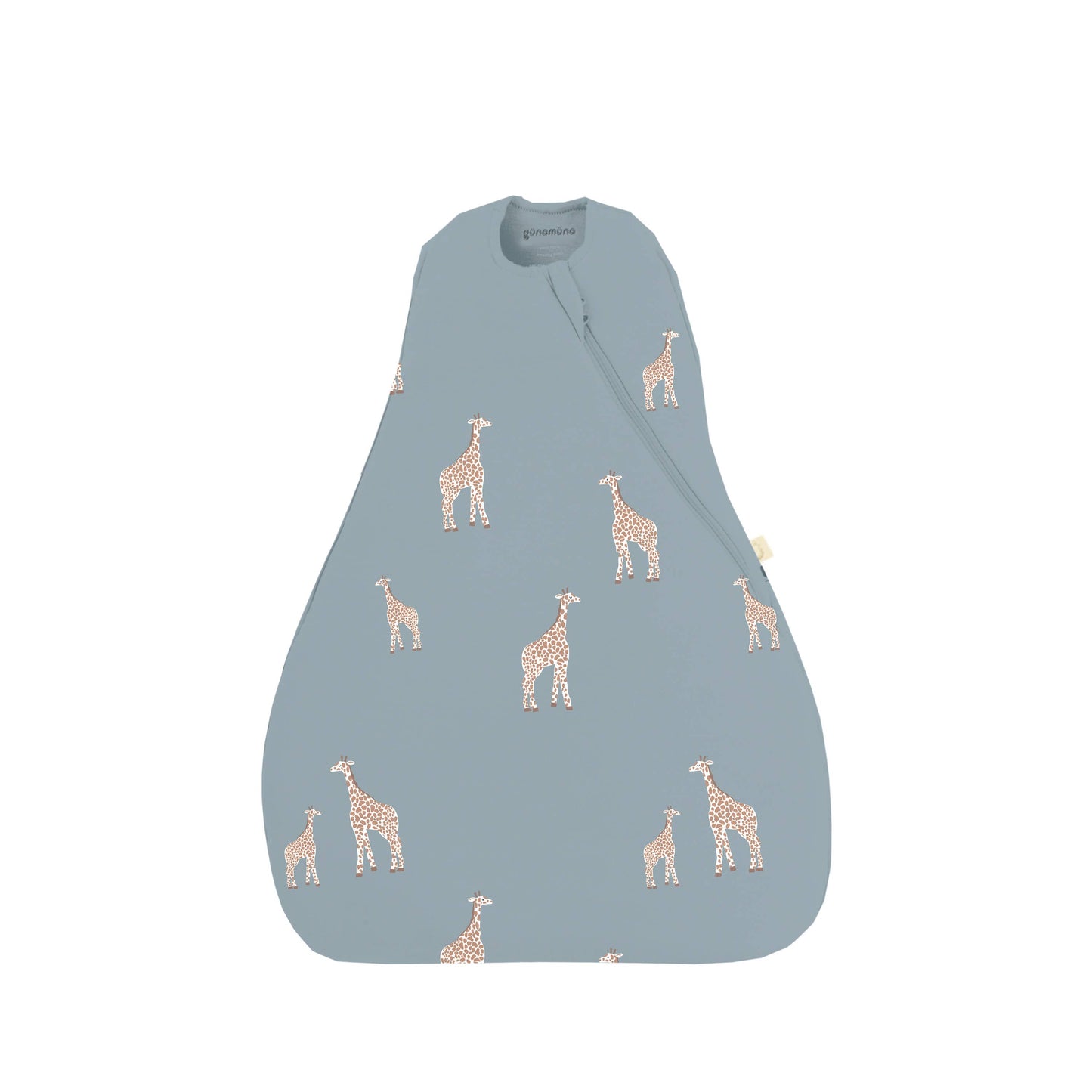 Transitional Swaddle Bag
