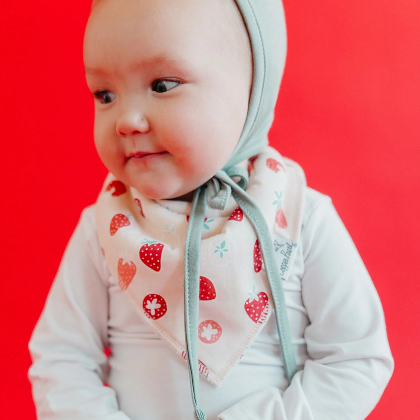Clementine Bandana Bibs