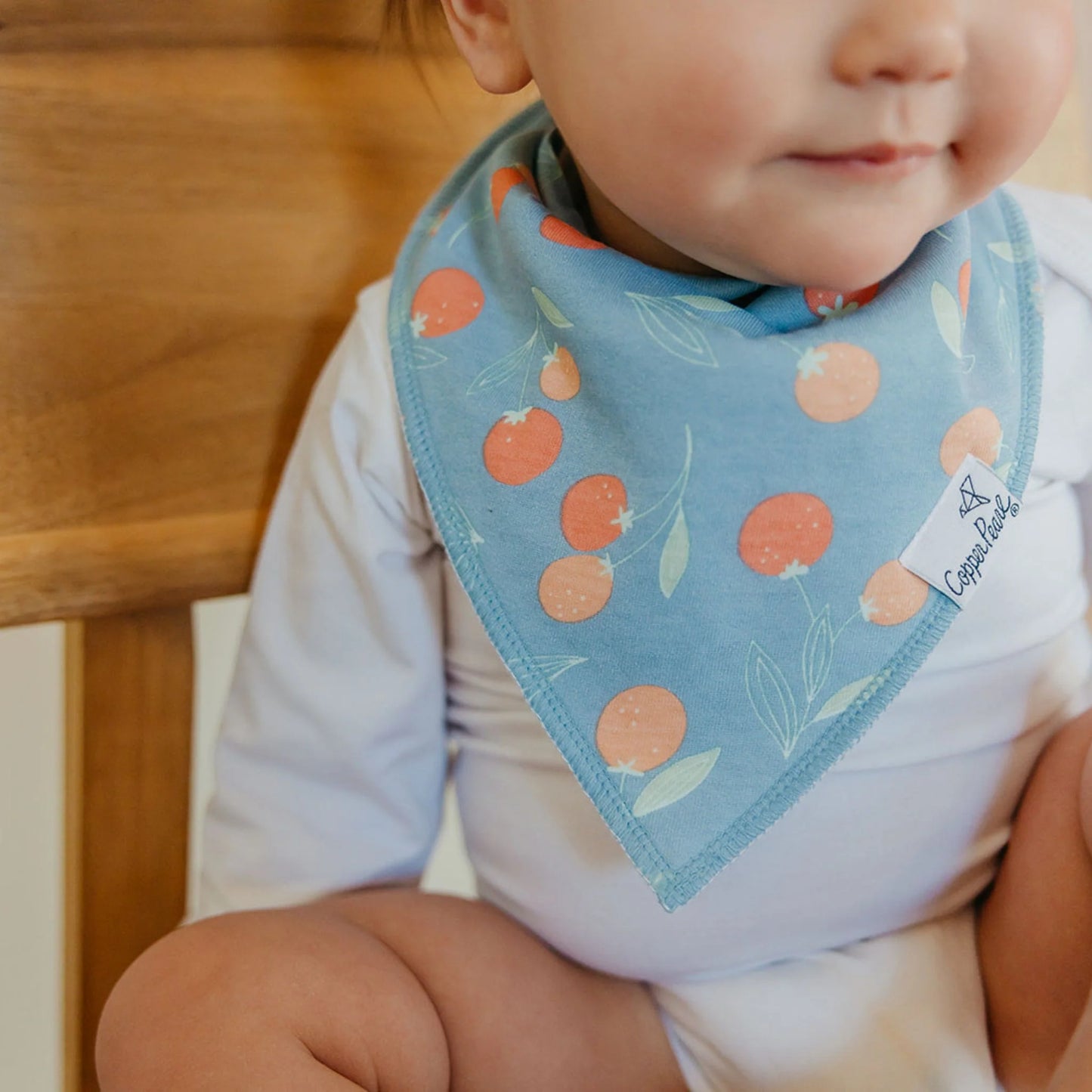 Clementine Bandana Bibs