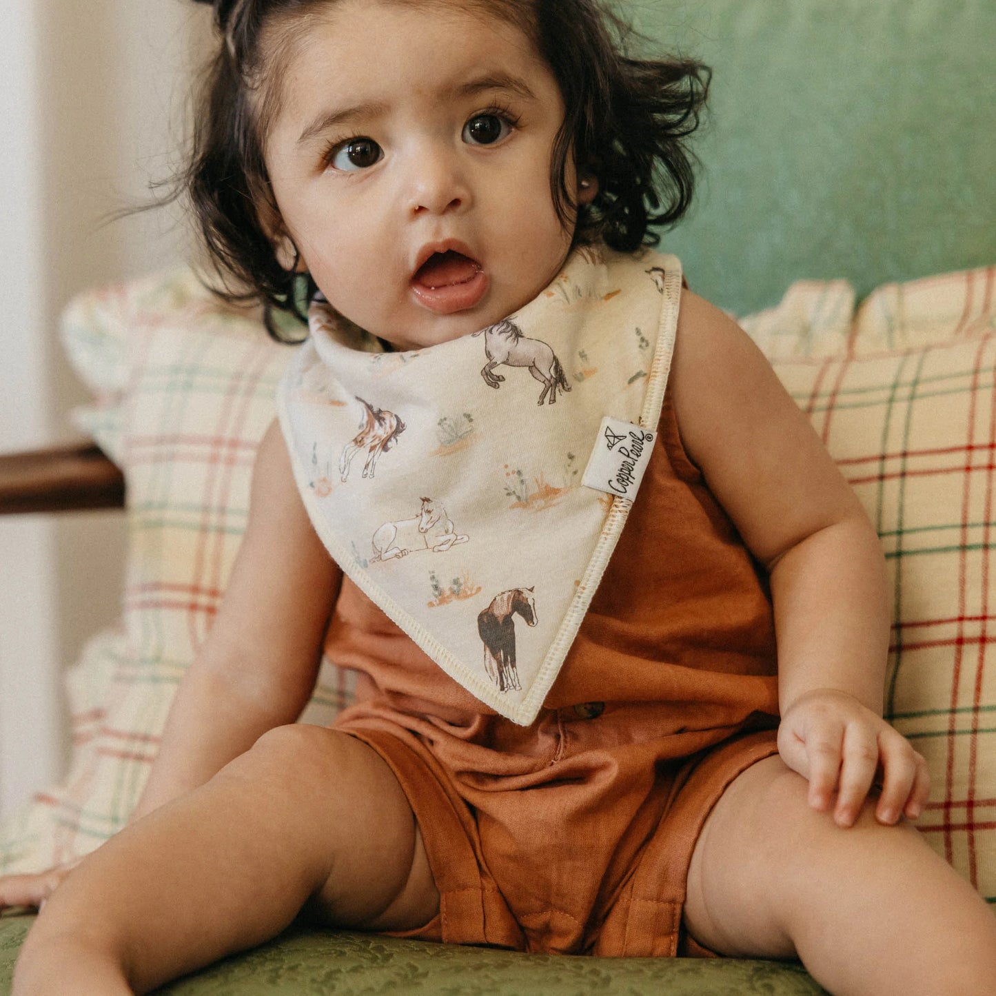 Cheyenne Bandana Bib