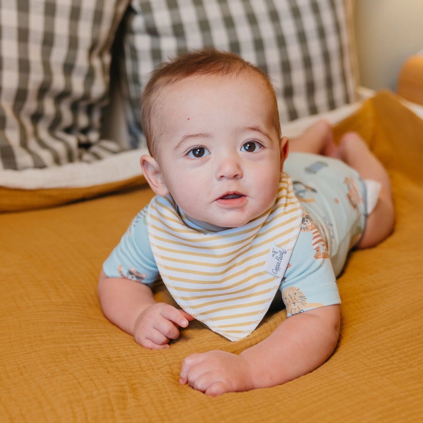 Speedster Bandana Bib Set