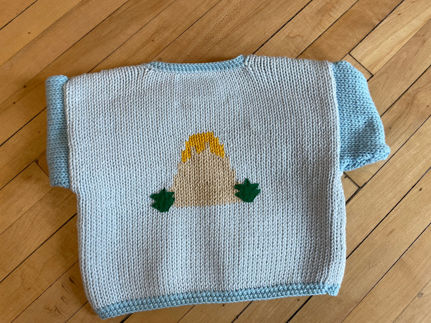 Dino's Land Knit Sweater