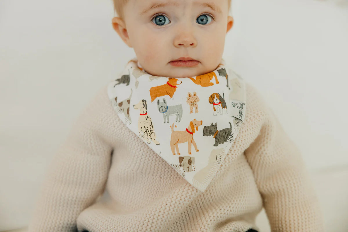 Rufus Baby Bandana Bib (4 Pack)