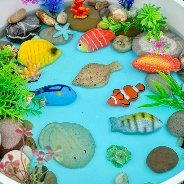 Sensory Play Stones - Fish