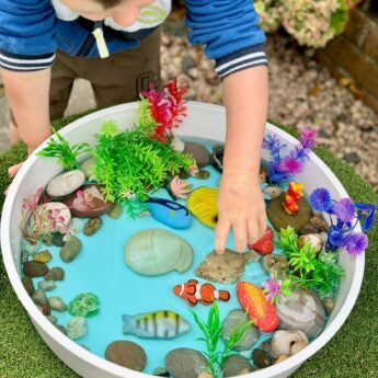 Sensory Play Stones - Fish