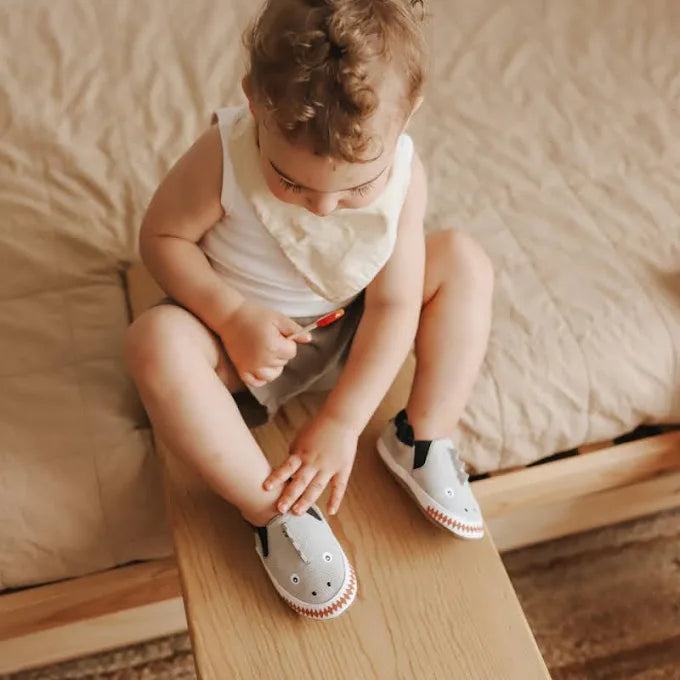 Dino Dan Soft Soles